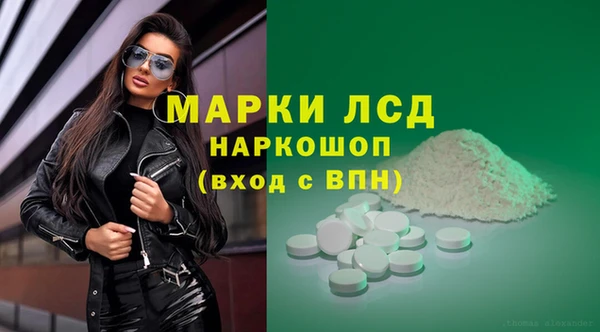 гидра Аркадак